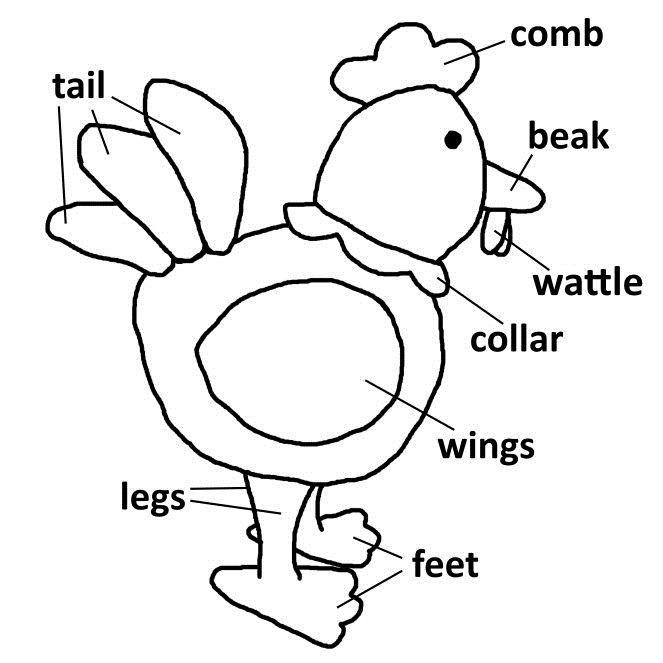 wattlepic.jpg